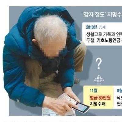 지명수배된 80세 폐지 노인.