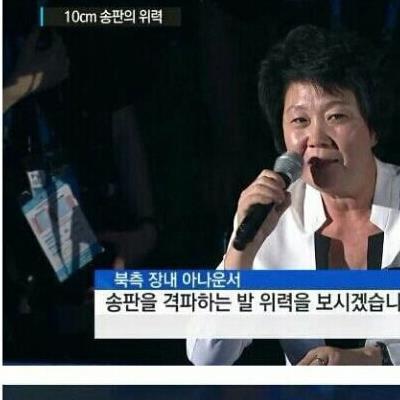 송판 한 장도 못깨는 북한 태권도시범단 수준.