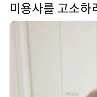 미용사를 고소하려고 했던 푸들 견주ㅋㅋ