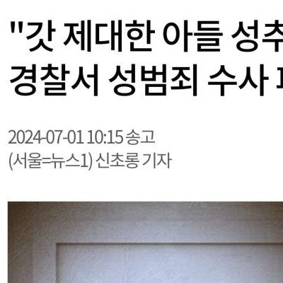 동탄경찰서 여경, 사태 만회하려 또 20대 남성 성범죄 조작하다 발각