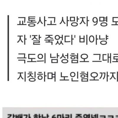 시청역사고 인간이길 포기한 어느 여초