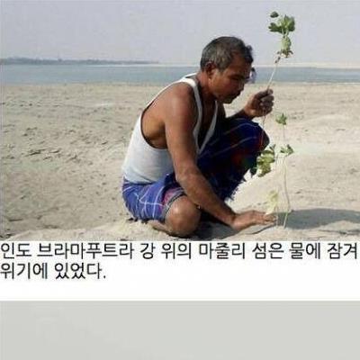 40년 동안 나무를 심었더니 생긴 일