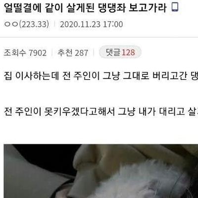 이사왔는데 전 주인이 강아지 버리고감