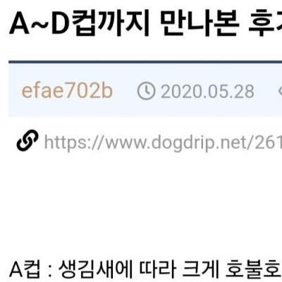 A부터 D컵까지 만나본 후기