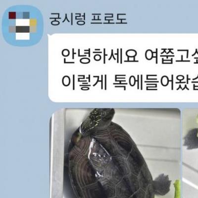 천연기념물을 죽이라고한 야생동물보호협회