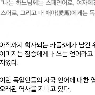 유럽에서 유명한 독일인들의 열등감.