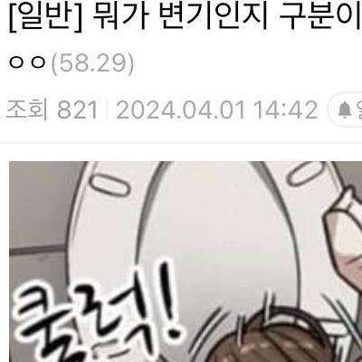 ㅇㅎ) 뭐가 변기인지 구분이 안되는 짤