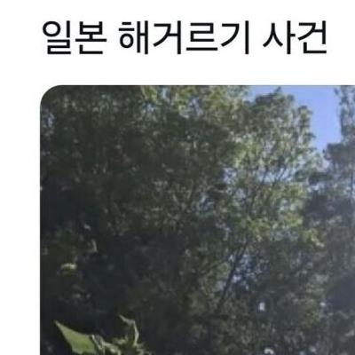 일본 열도 40도 넘기자 일어난 사건