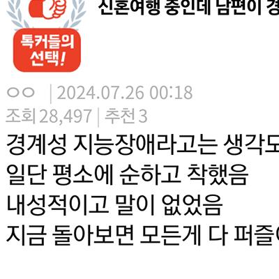 신혼여행 중인데 남편이 경계선 지능인것 같다.