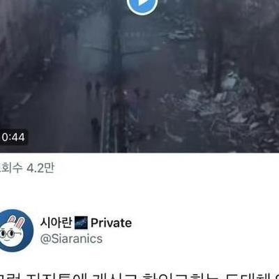 튀르키예 지진때 악마같은 짓을 한 집단.