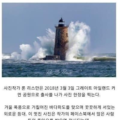 페이스북에서 유명했던 사진 표절 논란.