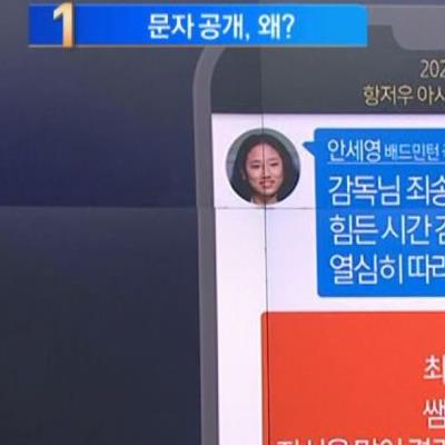 배드민턴협회, 감독·안세영 SNS 대화 공개