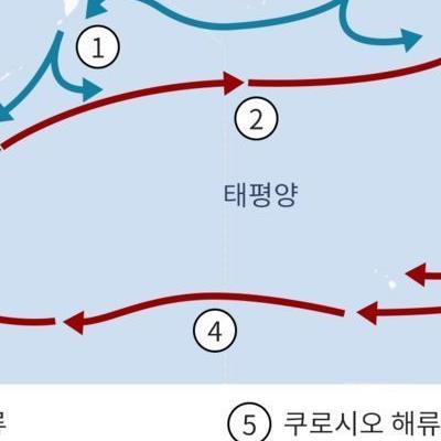 태풍올때 오염수 예상