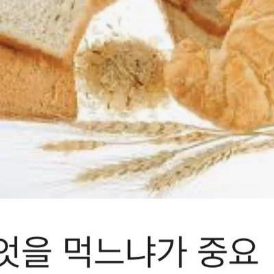 파스타가 밀가루인데도 살이 안 찌는 이유