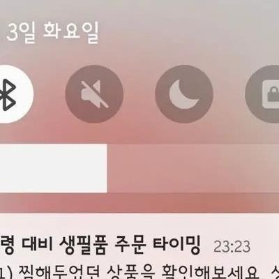 쿠팡의 틈새시장 공략