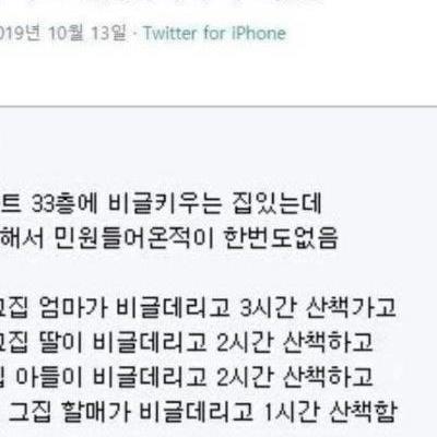 아파트에서 비글 키우는데 민원 안들어오는 이유