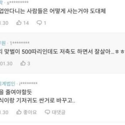 실수령액 460만원 외벌이 가족.jpg