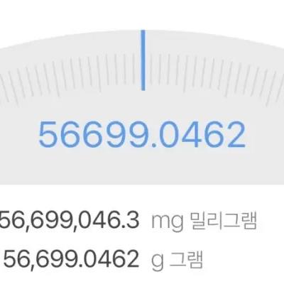 용산에 반입된 장어가 56kg인 이유