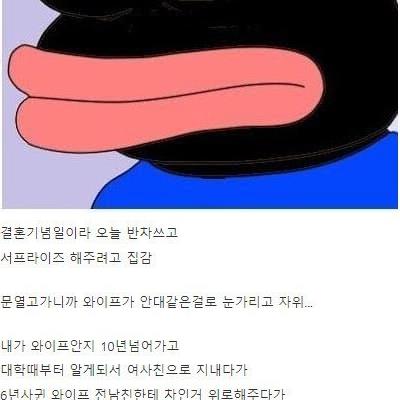 서프라이즈 해주려다 와이프 자위 목격한 디시인 ㄷㄷㄷ