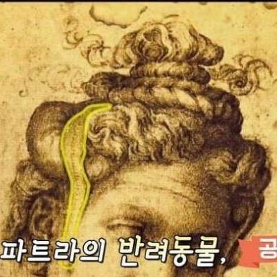 약혐)뼈로표본만드는한고등학교학생.jpg