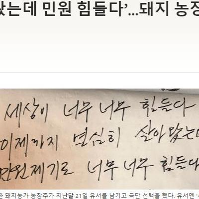 돼지똥냄새민원에자살