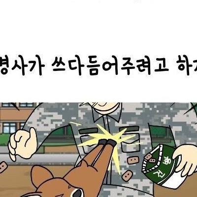 군대에서평소고라니한테잘해주면생기는일.JPG