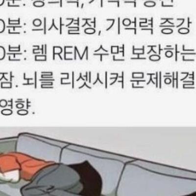 낮잠을 자야하는 이유.jpg