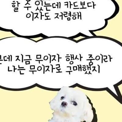 요즘 sns에서 유행하는 외상 결제