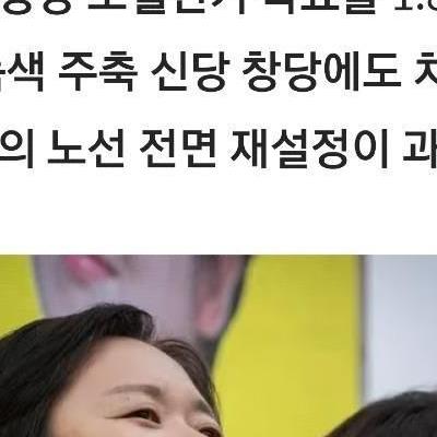 고쳐 쓸 수 없는 또 다른 정당