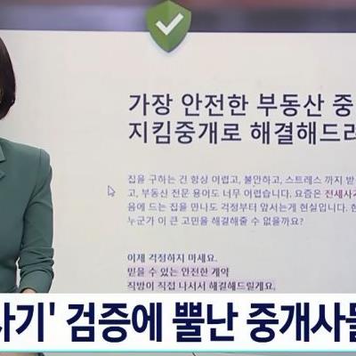 전세사기 검증에 뿔난 중개사들, 왜?