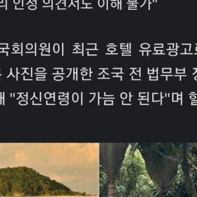 전여옥의 조민 평가질 ㄷㄷ