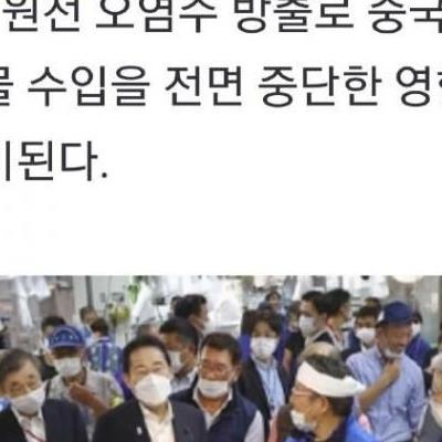 폭망 중인 일본산 가리비 근황 ㄷㄷ