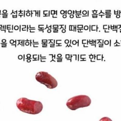 생으로 먹으면 독이되는 음식.