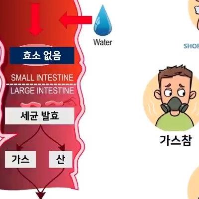 한국인과 우유가 안맞는 이유.jpg