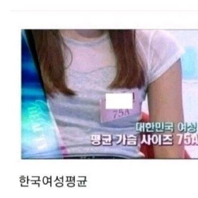 A컵 가슴부터 Z컵 가슴까지