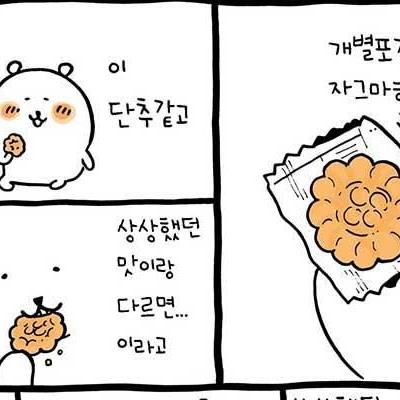 만화약과를처음먹어본일본인