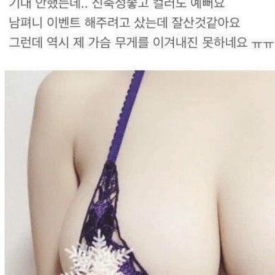 대한민국 팬티 