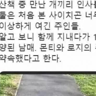 산책중에 우연히 만난 남매