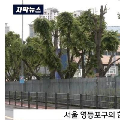 고등학교 매점 없어지고 그자리에 생긴것