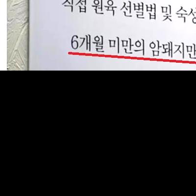 돼지고기집 말장난 갑.jpg