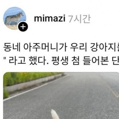 동네 아주머니가 우리 개를 가리키며 "쌀개"라고 함