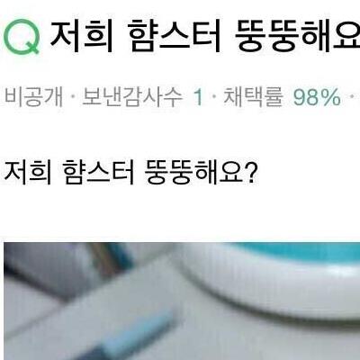 저희 햄스터 뚱뚱해요?