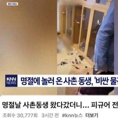 사촌형 피규어 박살냈다가 3500만원 합의