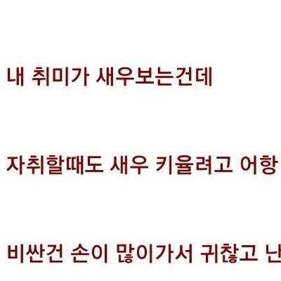 의외로 자취방에 어항을 두면 위험한 이유.ㄷㄷㄷ