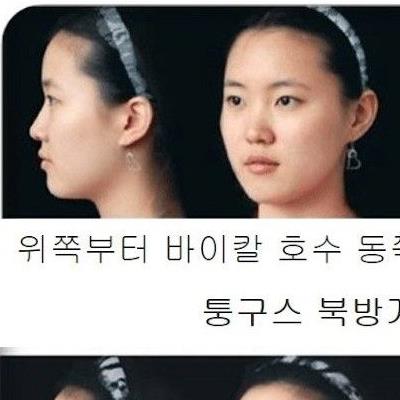 북방계 남방계 여성 얼굴.