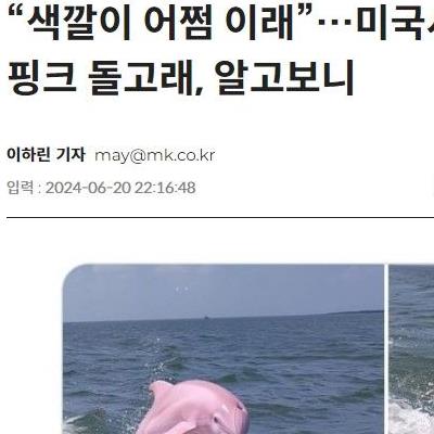 미국에서 화제인 핑크 돌고래 가짜다?