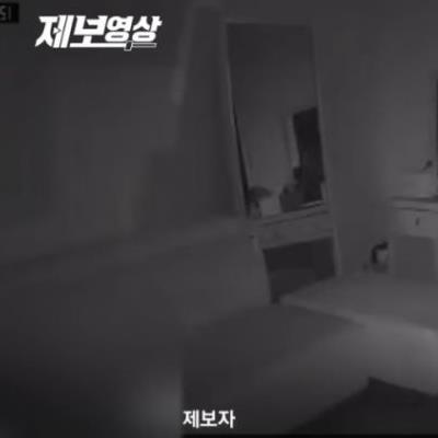 집 cctv 감지 떠서 확인했더니...